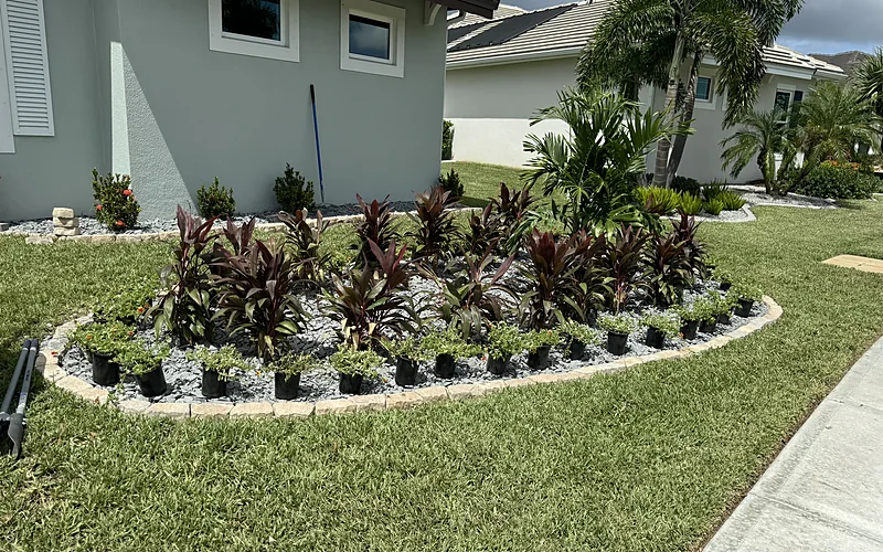 Hedge and Tree Trimming in Palm Bay