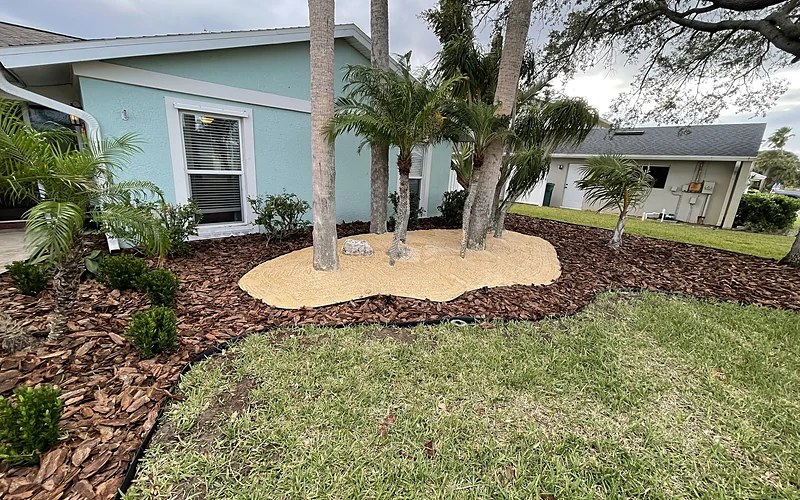 Tree Removal in Palm Bay